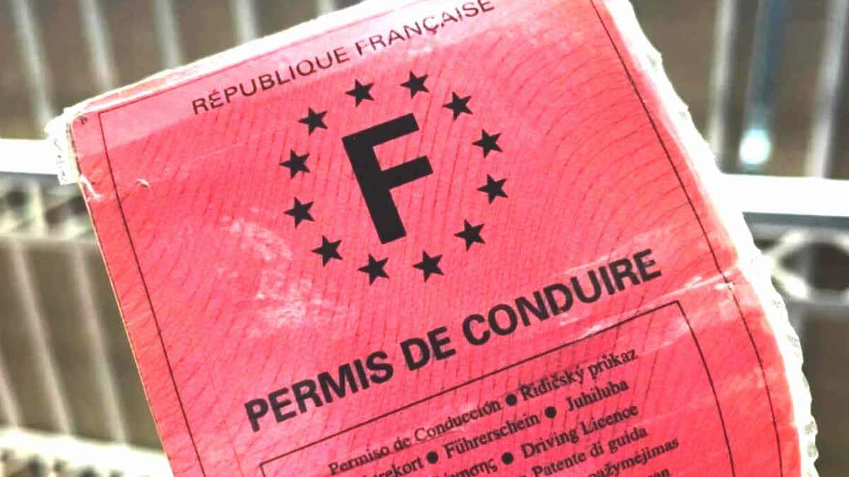 permis de conduire