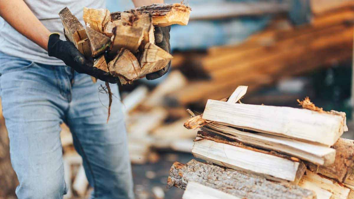 stère de bois